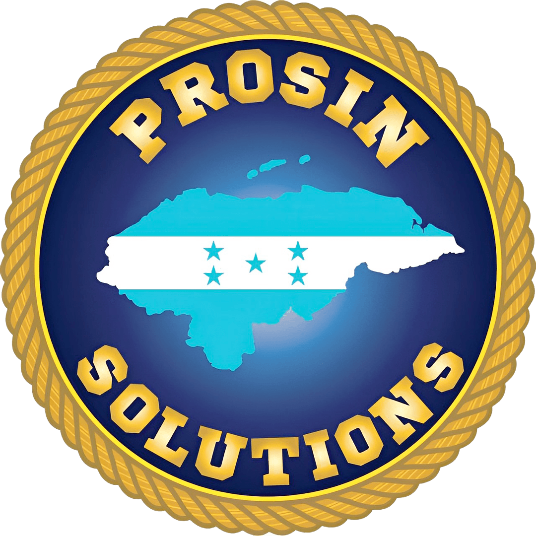 Prosin Logo